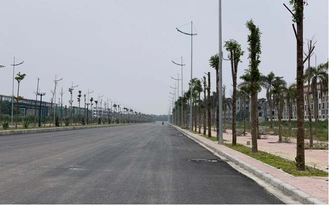 Nhà đầu tư bất động sản nào sẽ bình yên đi qua mùa giông bão?